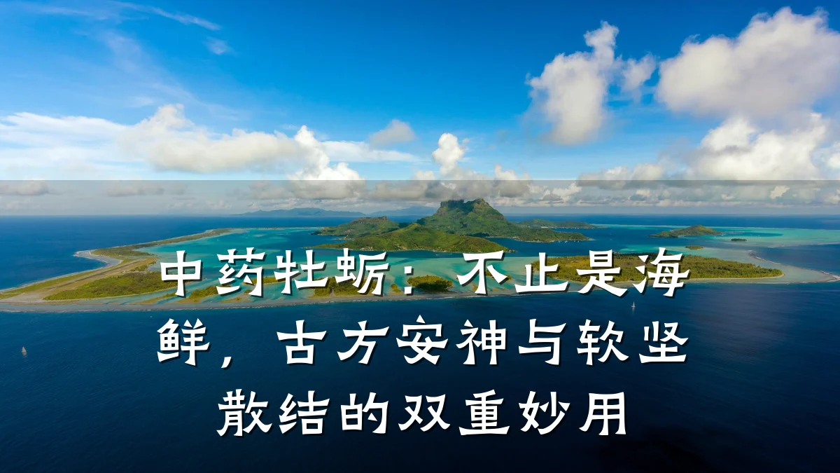 中药牡蛎:不止是海鲜,古方安神与软坚散结的双重妙用