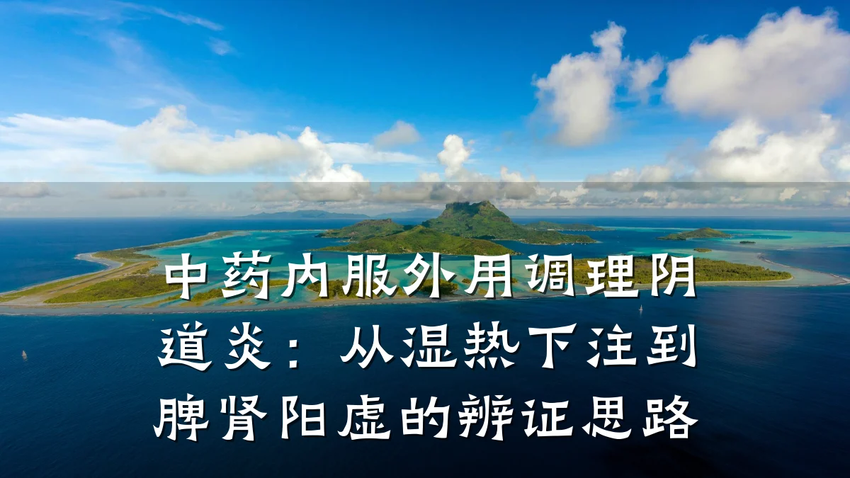中药内服外用调理阴道炎：从湿热下注到脾肾阳虚的辨证思路