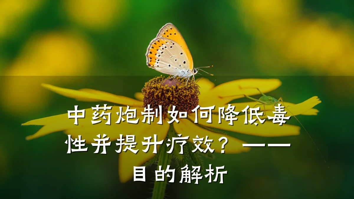中药炮制如何降低毒性并提升疗效?——目的解析