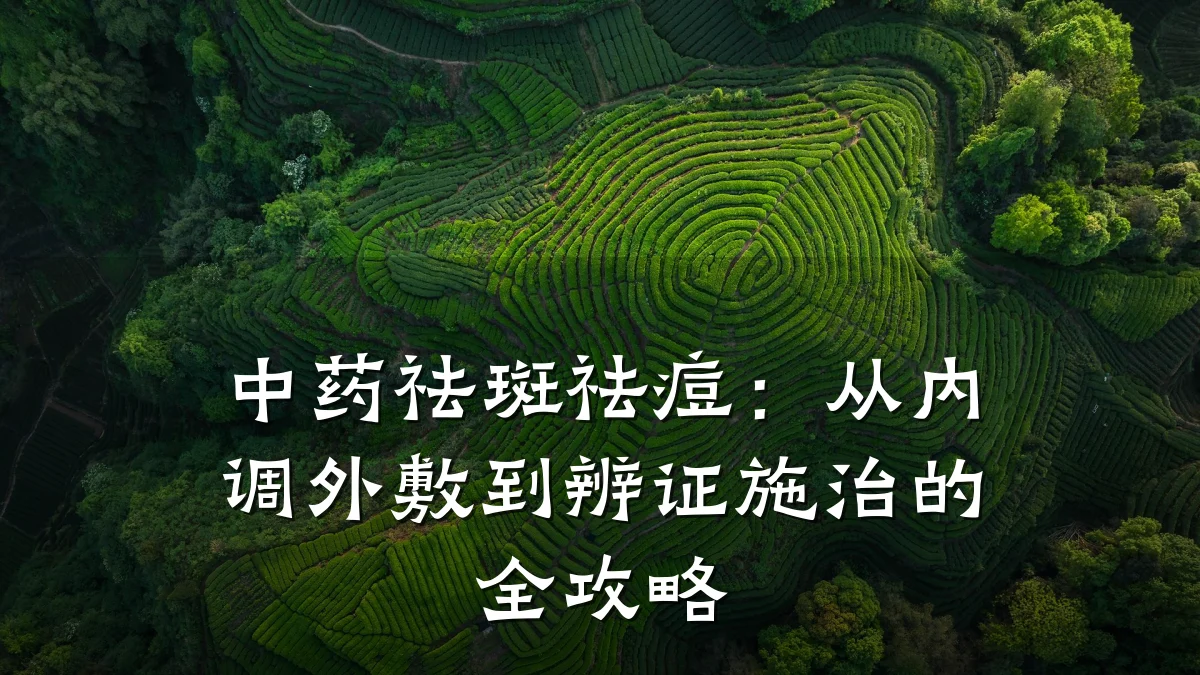 中药祛斑祛痘:从内调外敷到辨证施治的全攻略
