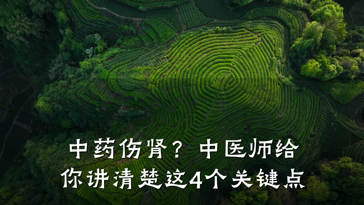 中药伤肾?中医师给你讲清楚这4个关键点