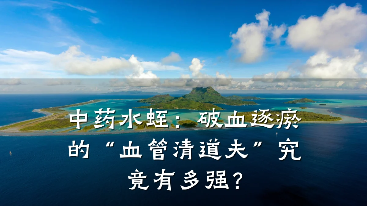 中药水蛭:破血逐瘀的“血管清道夫”究竟有多强?