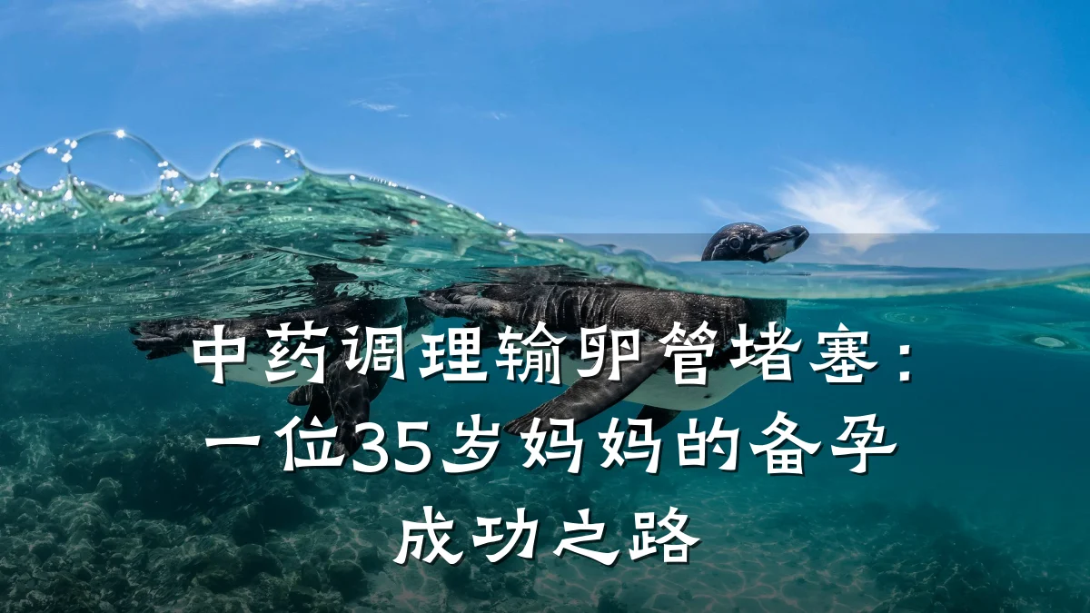 中药调理输卵管堵塞:一位35岁妈妈的备孕成功之路