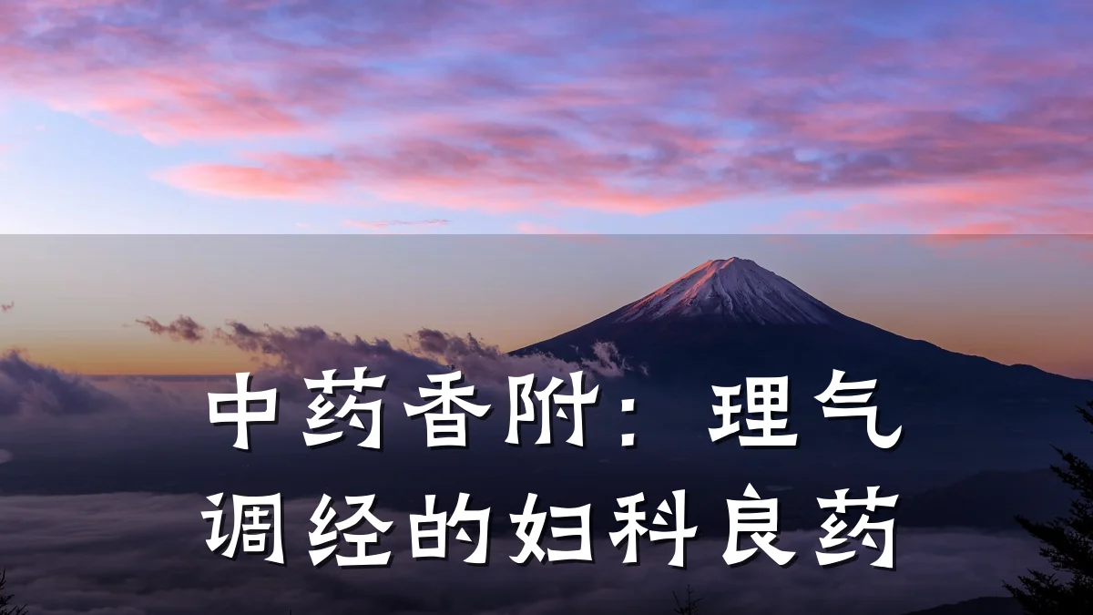中药香附：理气调经的妇科良药