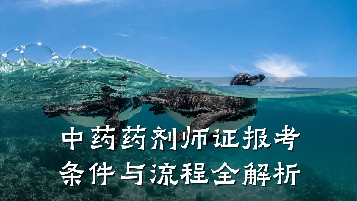 中药药剂师证报考条件与流程全解析