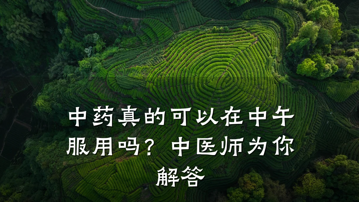 中药真的可以在中午服用吗?中医师为你解答