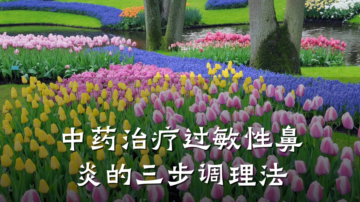 中药治疗过敏性鼻炎的三步调理法