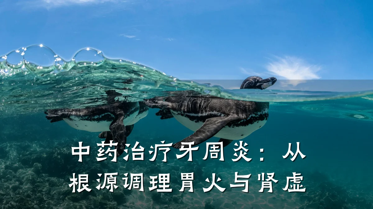 中药治疗牙周炎:从根源调理胃火与肾虚