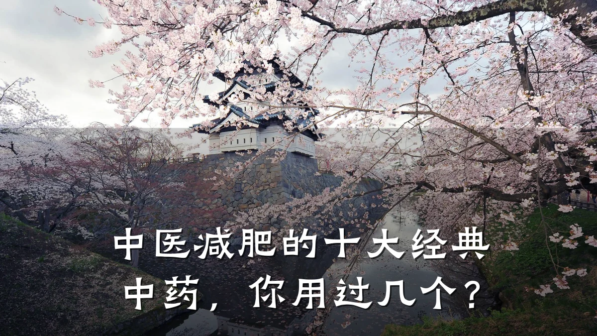 中医减肥的十大经典中药,你用过几个?