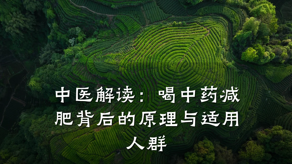 中医解读:喝中药减肥背后的原理与适用人群
