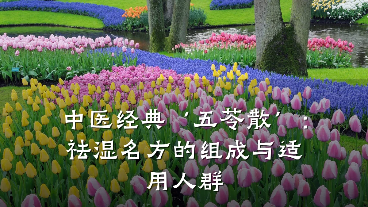 中医经典‘五苓散’：祛湿名方的组成与适用人群