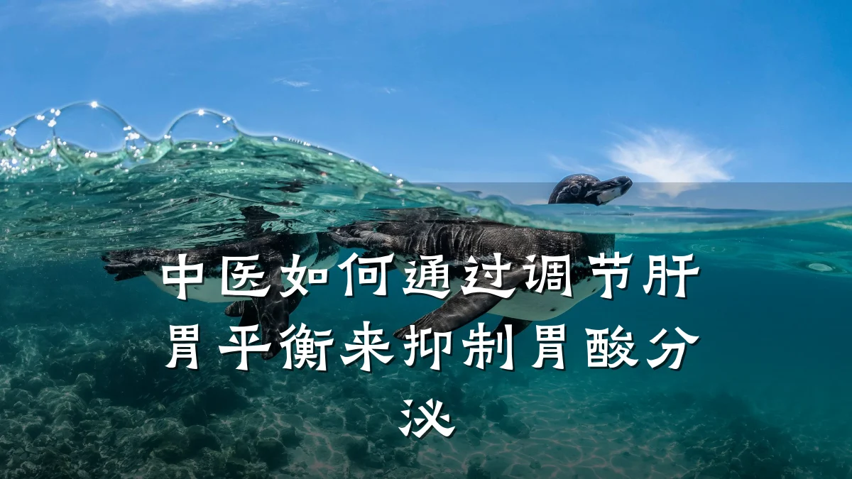 中医如何通过调节肝胃平衡来抑制胃酸分泌