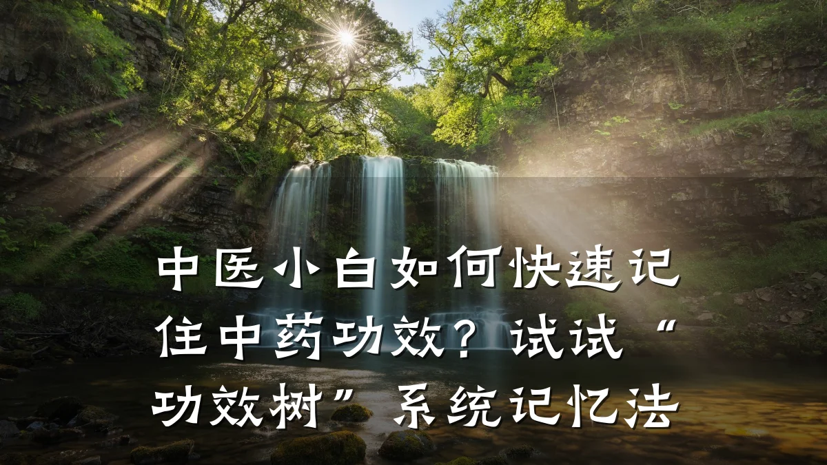 中医小白如何快速记住中药功效？试试“功效树”系统记忆法