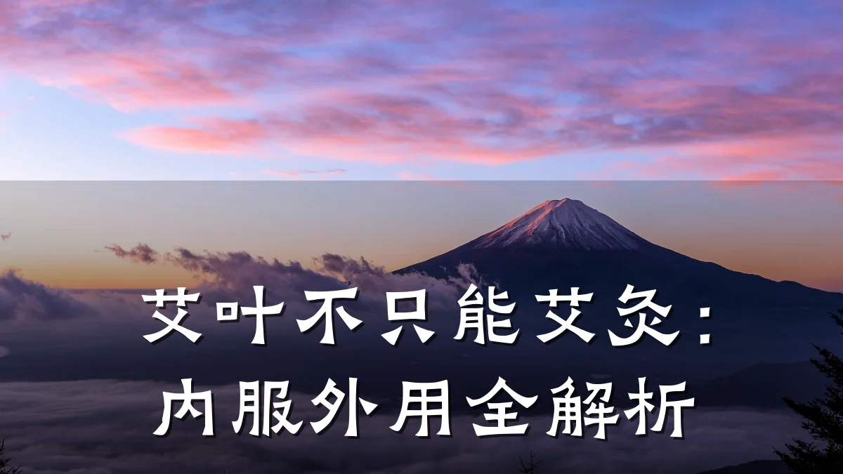 艾叶不只能艾灸:内服外用全解析