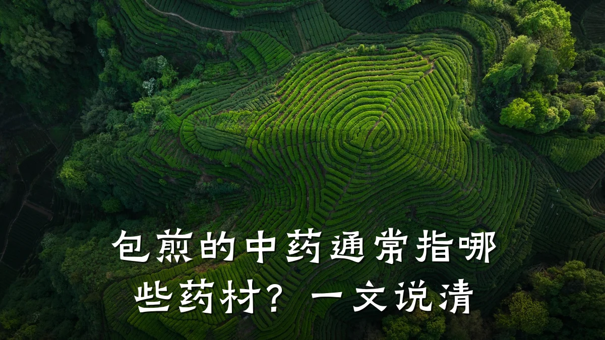 包煎的中药通常指哪些药材?一文说清