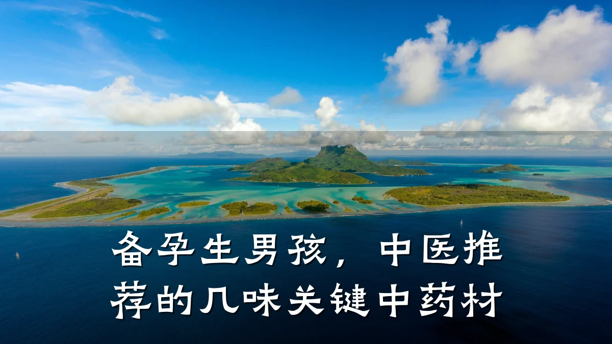 备孕生男孩,中医推荐的几味关键中药材