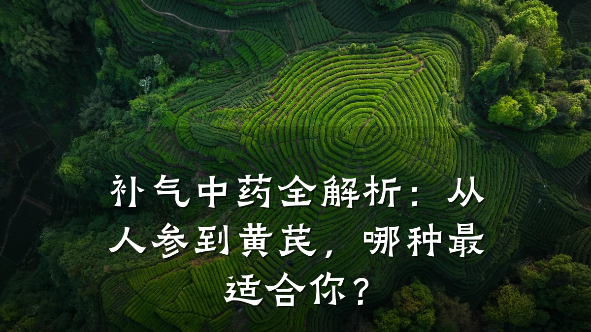 补气中药全解析：从人参到黄芪，哪种最适合你？