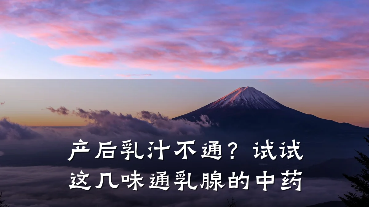 产后乳汁不通?试试这几味通乳腺的中药