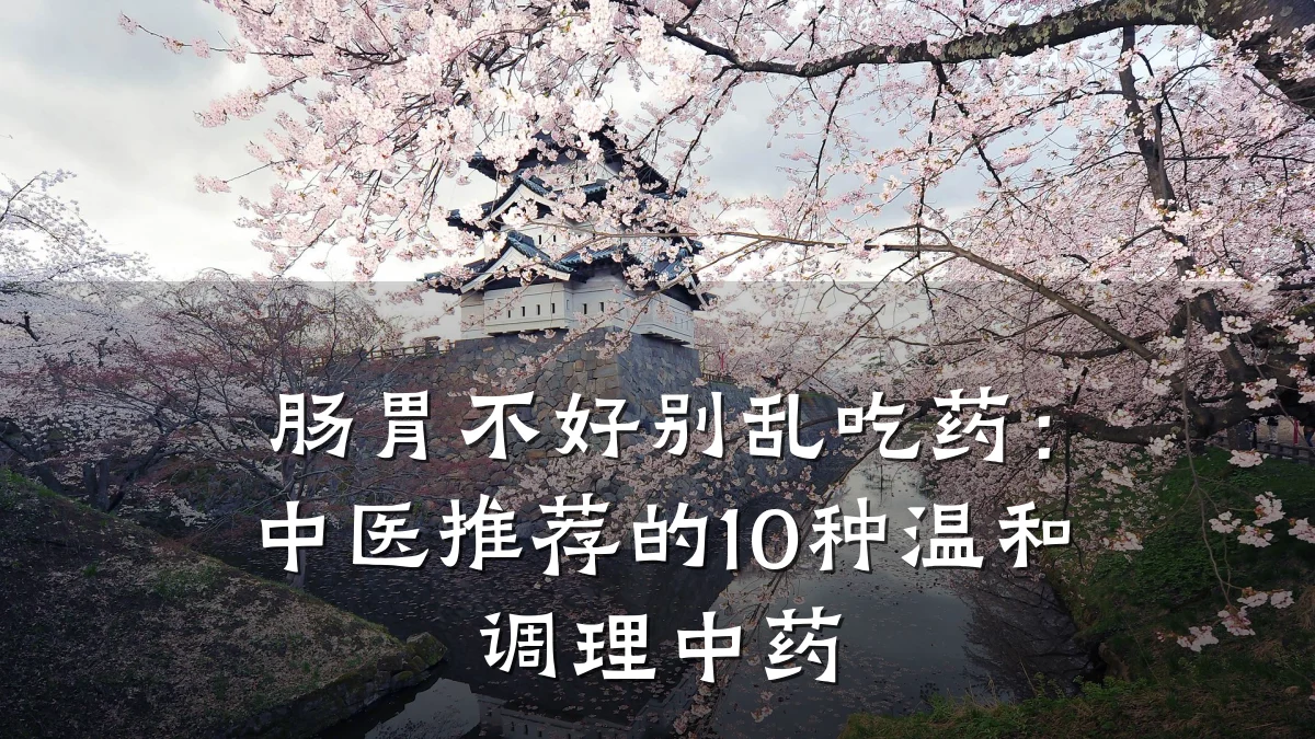 肠胃不好别乱吃药:中医推荐的10种温和调理中药