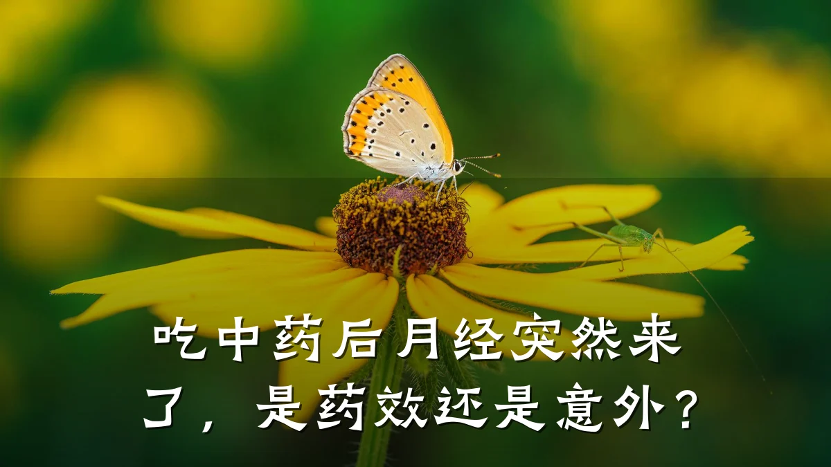 吃中药后月经突然来了，是药效还是意外？