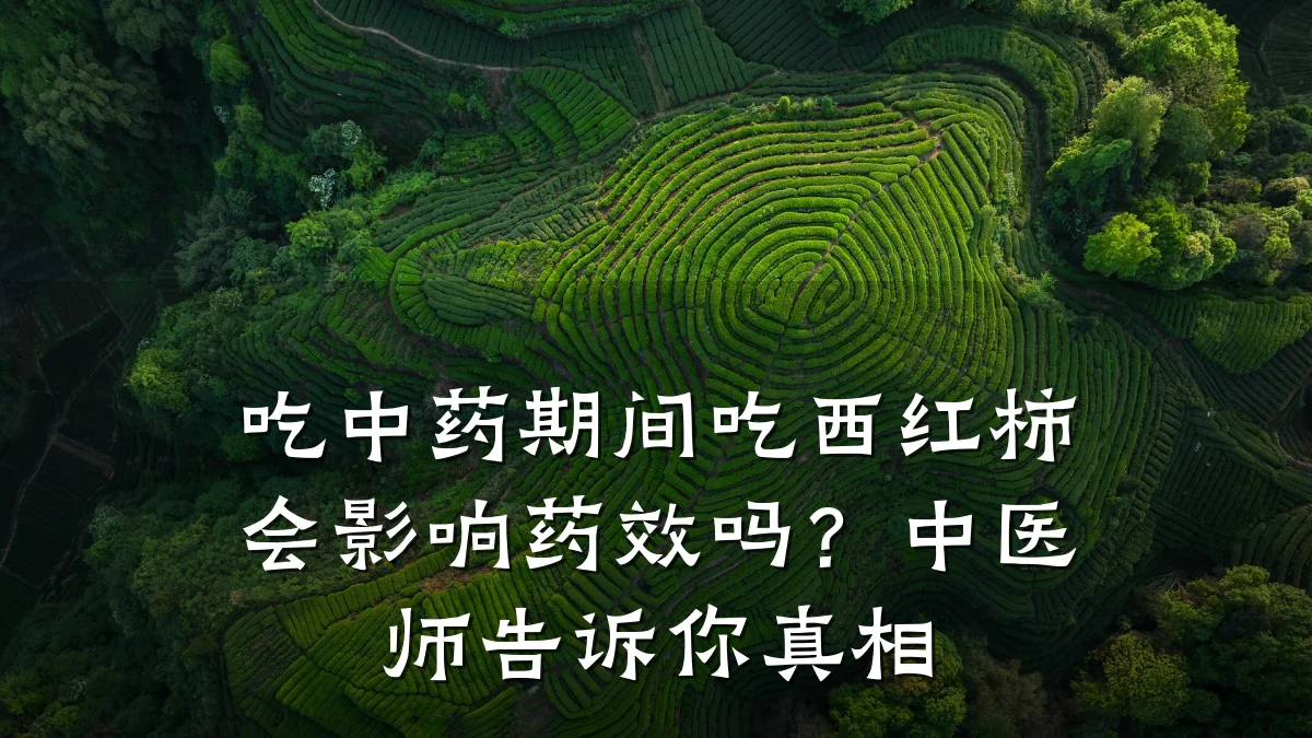 吃中药期间吃西红柿会影响药效吗?中医师告诉你真相