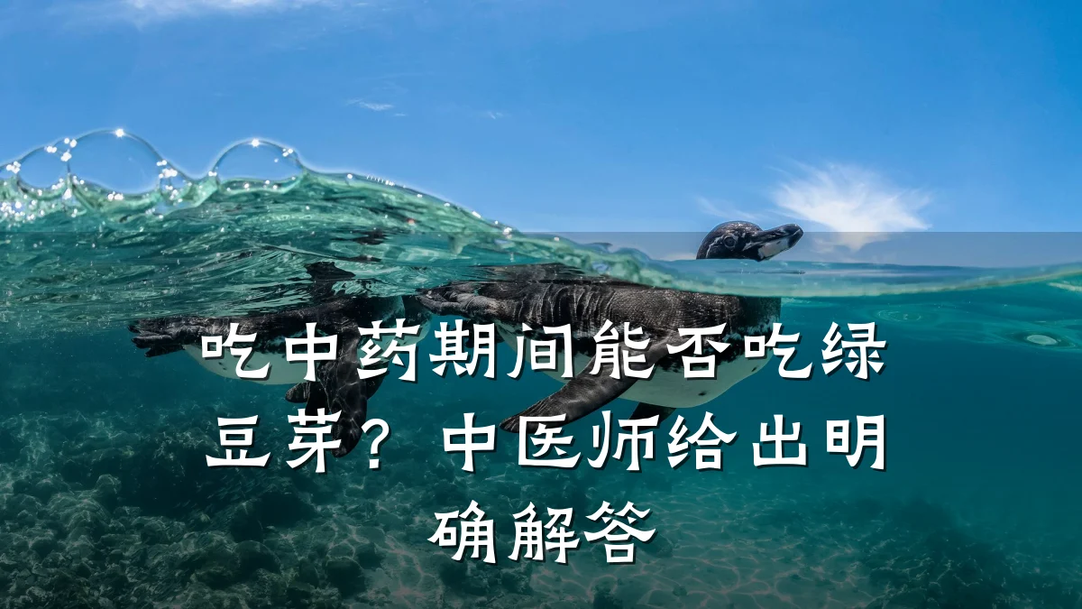 吃中药期间能否吃绿豆芽?中医师给出明确解答