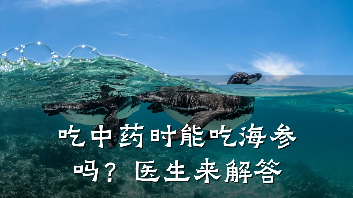 吃中药时能吃海参吗?医生来解答