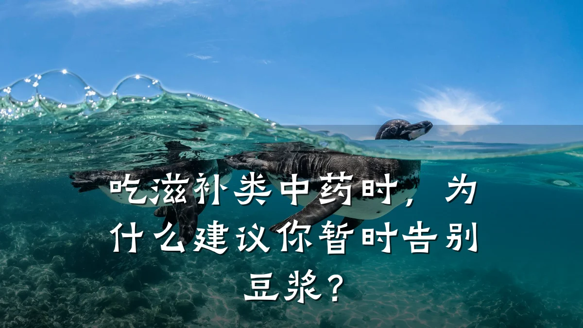 吃滋补类中药时,为什么建议你暂时告别豆浆?