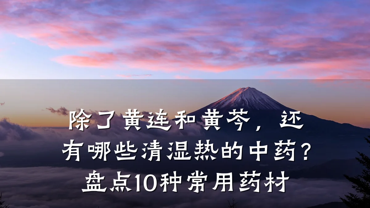 除了黄连和黄芩,还有哪些清湿热的中药?盘点10种常用药材