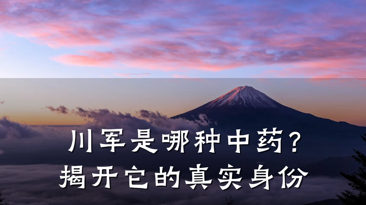 川军是哪种中药？揭开它的真实身份