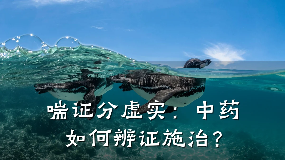 喘证分虚实:中药如何辨证施治?