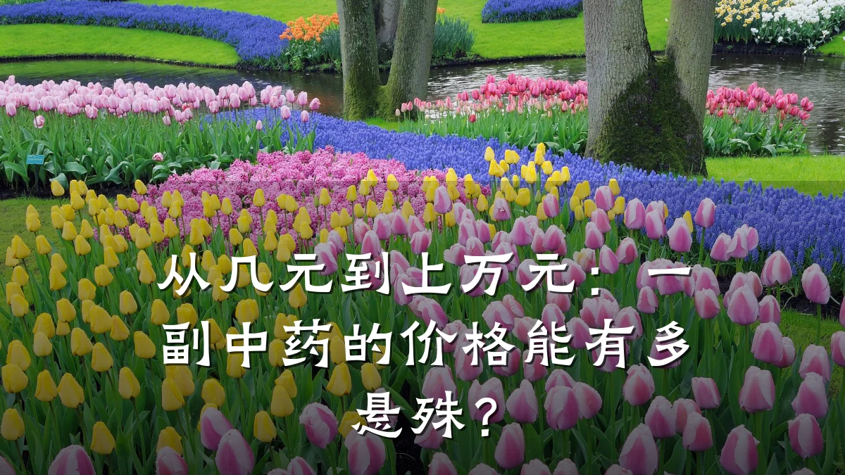 从几元到上万元：一副中药的价格能有多悬殊？