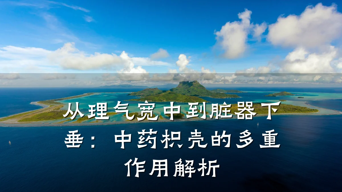 从理气宽中到脏器下垂:中药枳壳的多重作用解析