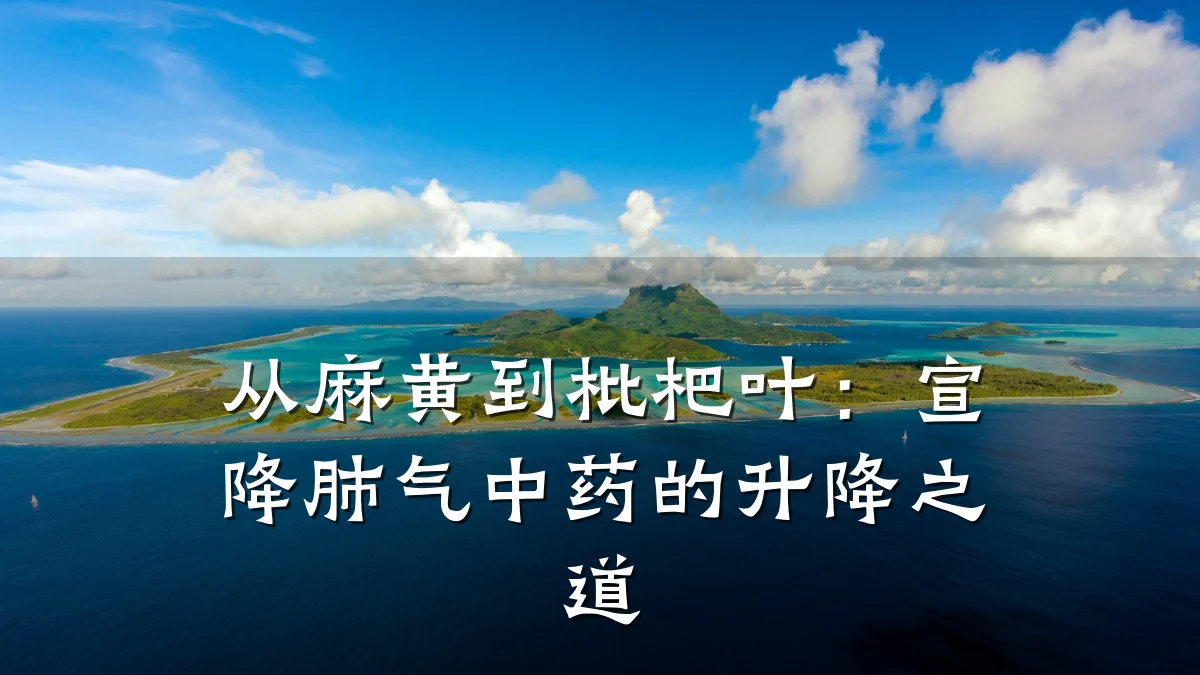 从麻黄到枇杷叶:宣降肺气中药的升降之道