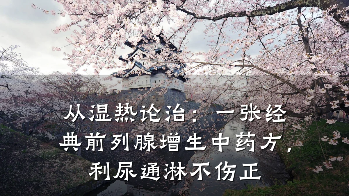 从湿热论治：一张经典前列腺增生中药方，利尿通淋不伤正