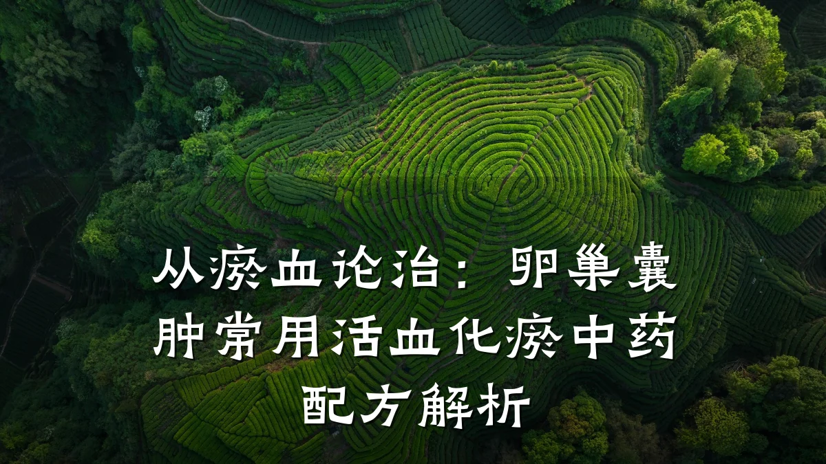 从瘀血论治：卵巢囊肿常用活血化瘀中药配方解析