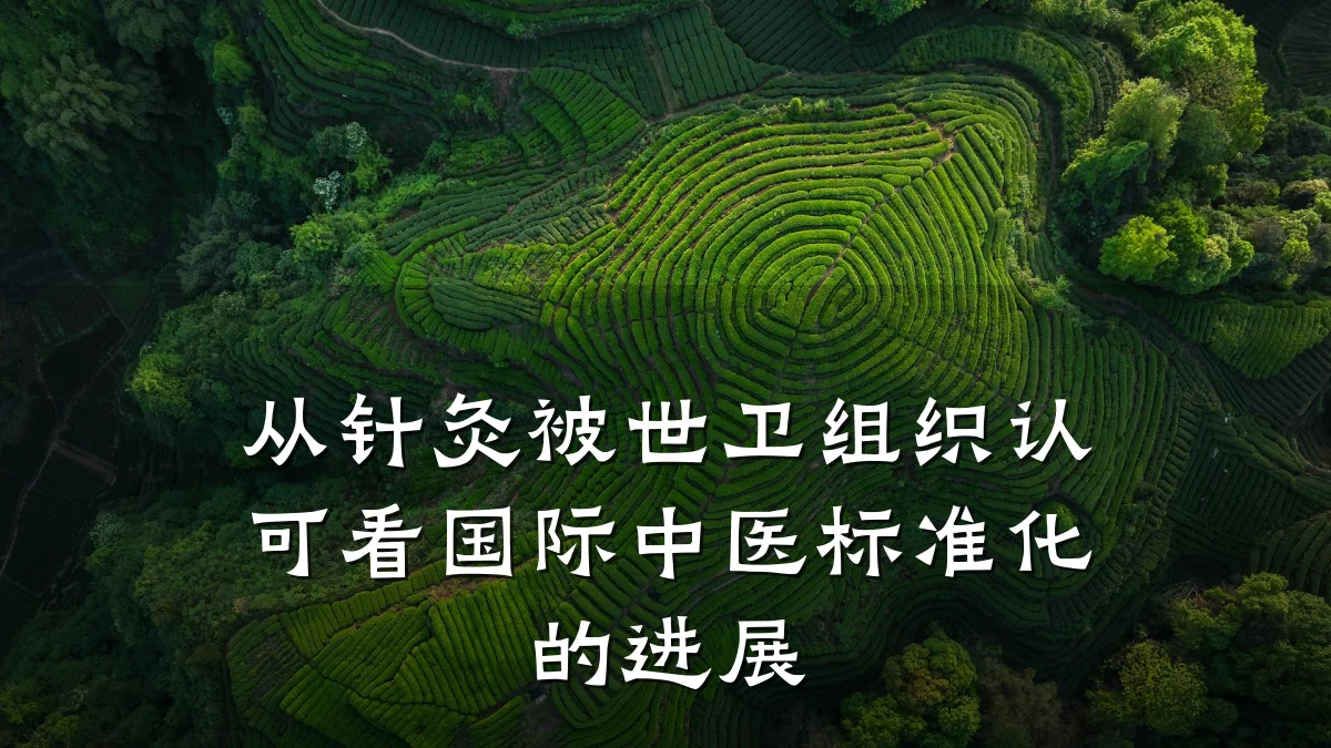 从针灸被世卫组织认可看国际中医标准化的进展
