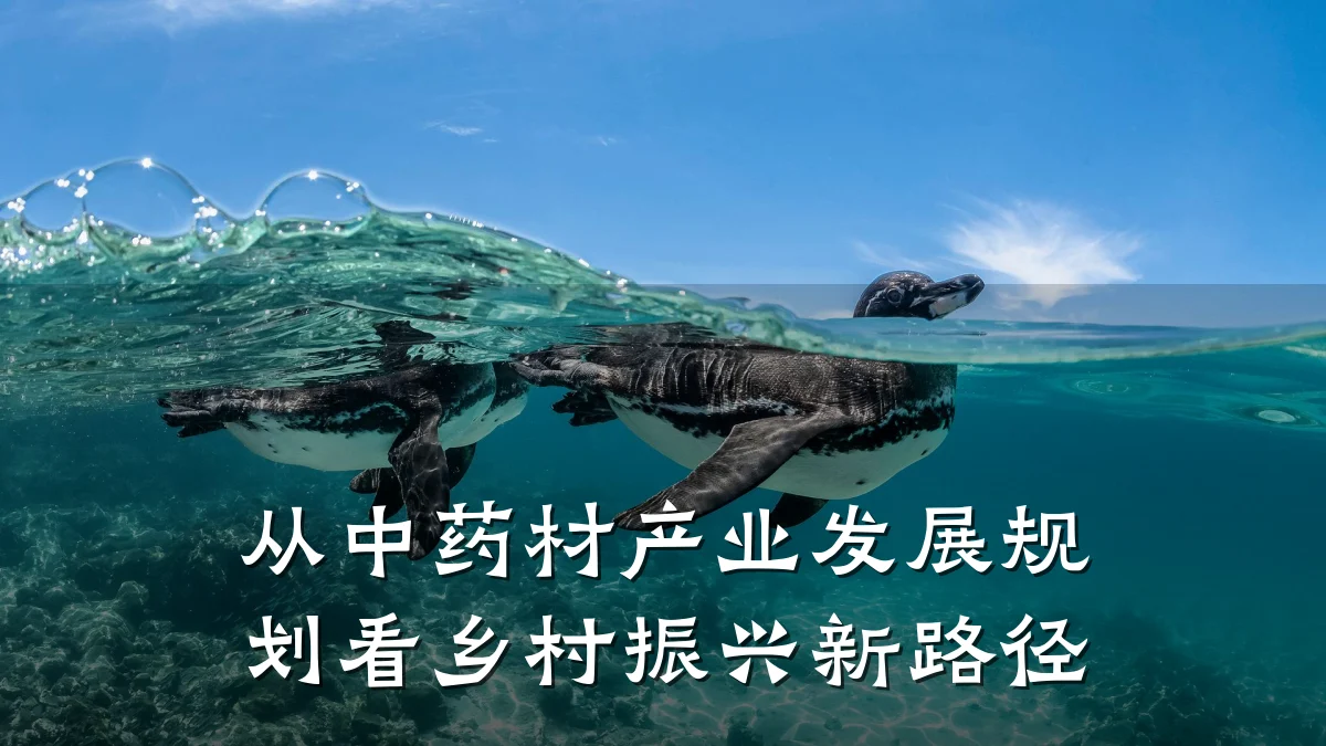 从中药材产业发展规划看乡村振兴新路径