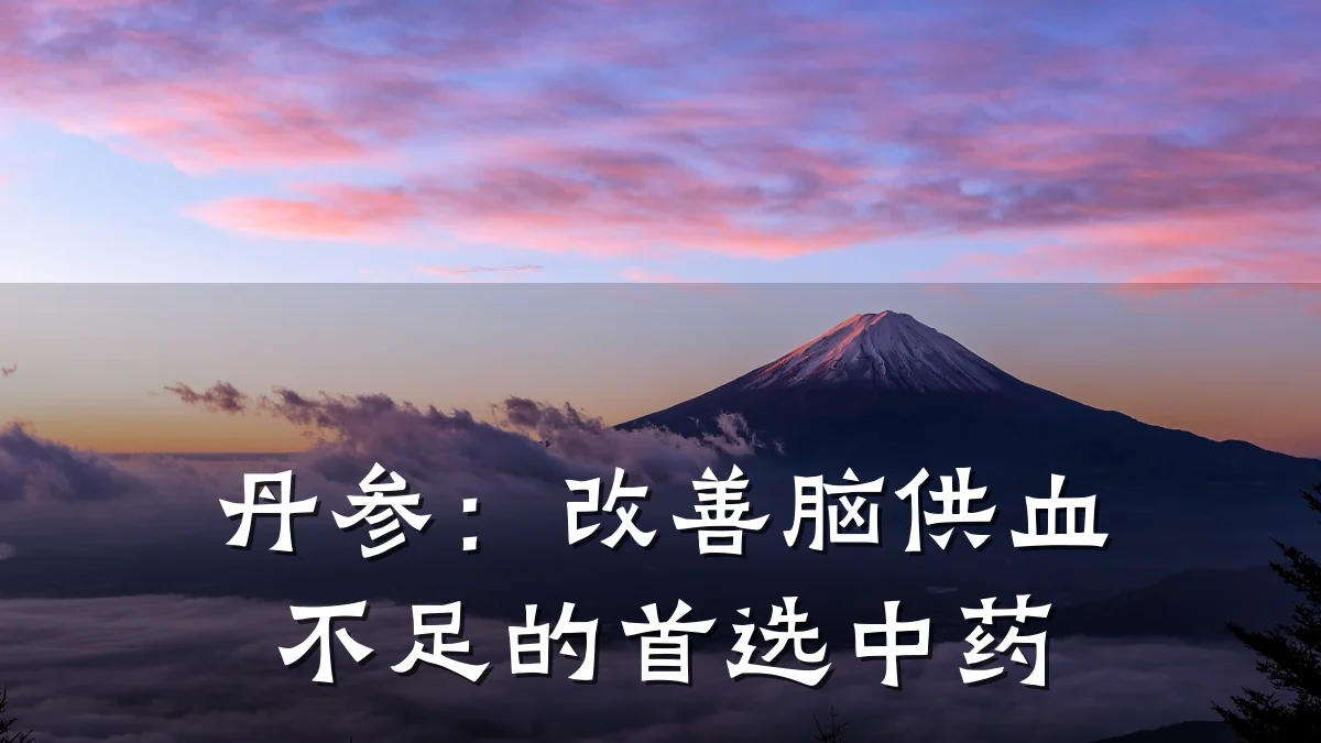丹参:改善脑供血不足的首选中药