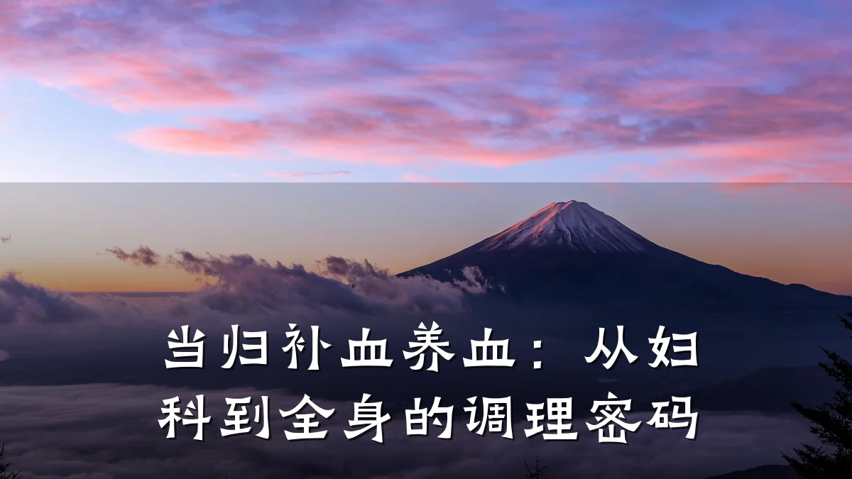 当归补血养血:从妇科到全身的调理密码