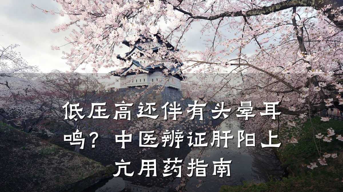 低压高还伴有头晕耳鸣？中医辨证肝阳上亢用药指南
