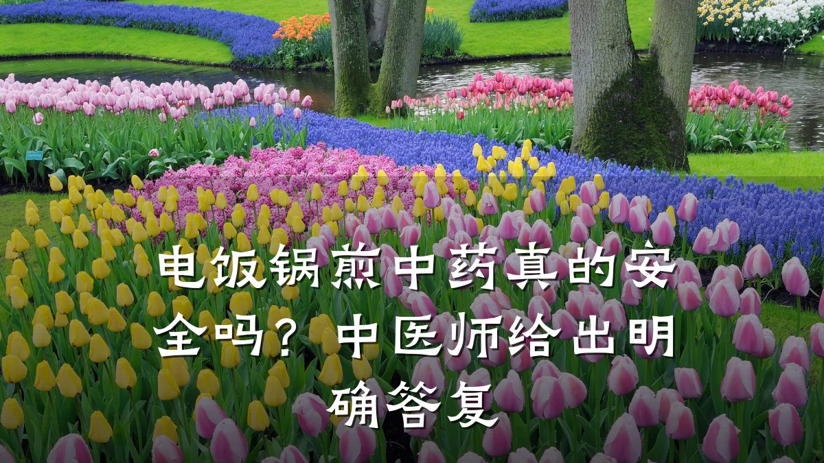 电饭锅煎中药真的安全吗？中医师给出明确答复