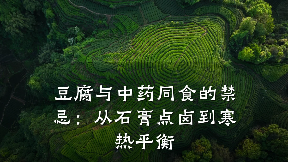 豆腐与中药同食的禁忌:从石膏点卤到寒热平衡