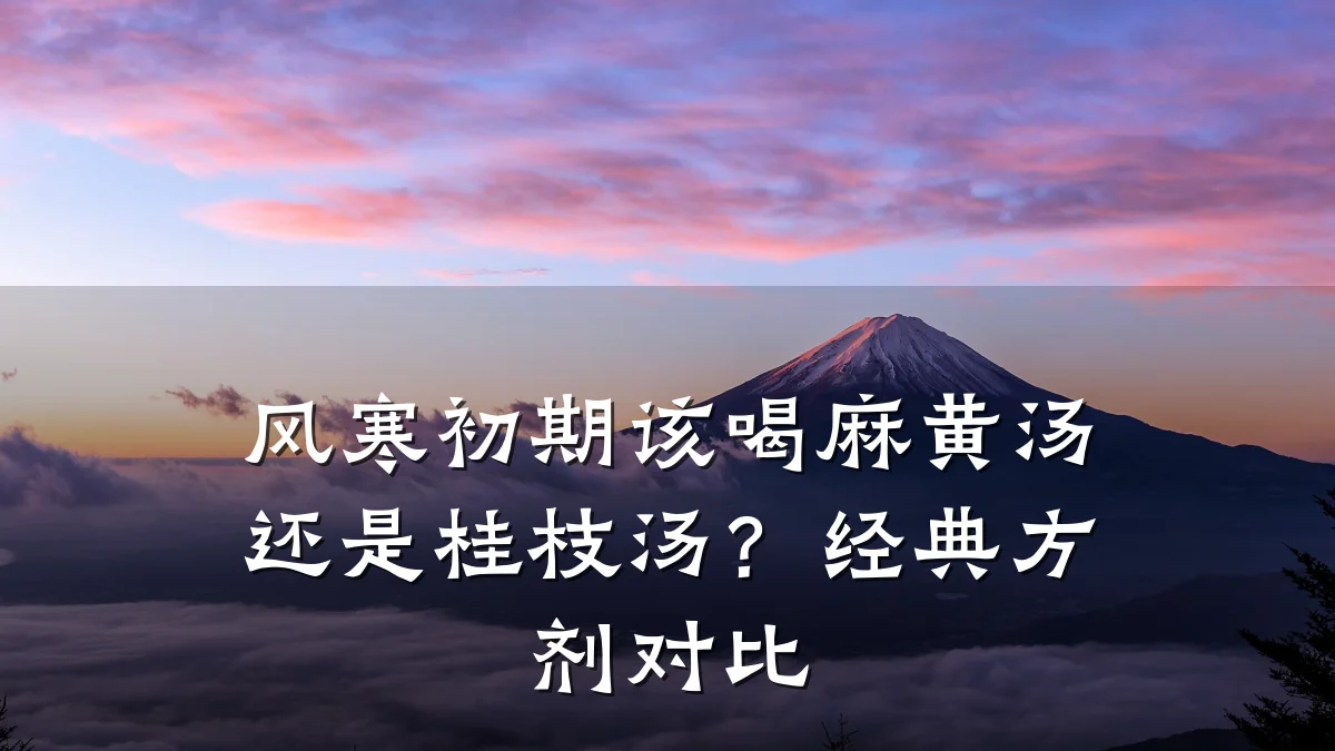 风寒初期该喝麻黄汤还是桂枝汤?经典方剂对比