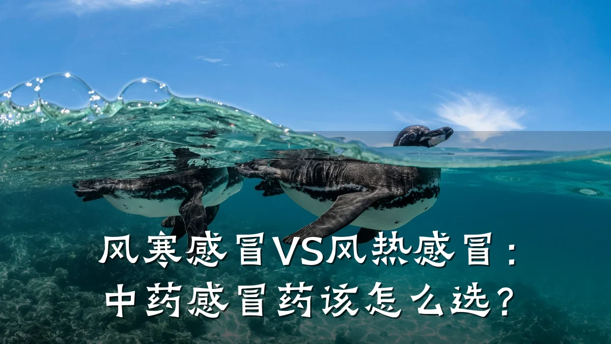风寒感冒VS风热感冒：中药感冒药该怎么选？