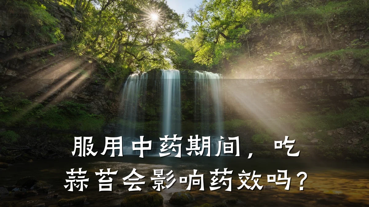 服用中药期间,吃蒜苔会影响药效吗?