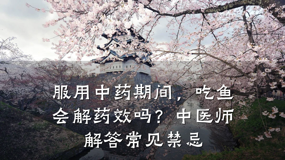 服用中药期间，吃鱼会解药效吗？中医师解答常见禁忌