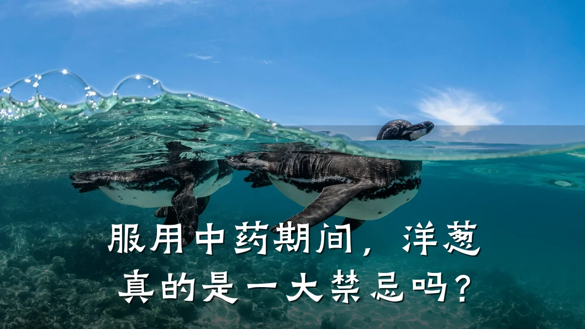 服用中药期间,洋葱真的是一大禁忌吗?