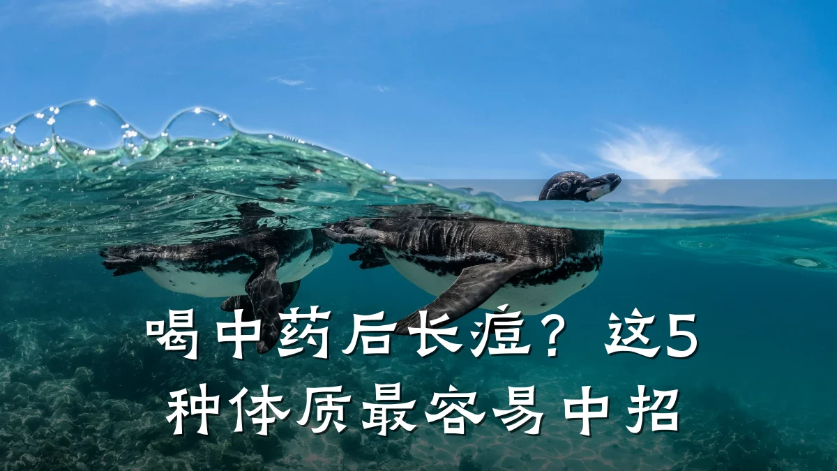 喝中药后长痘？这5种体质最容易中招