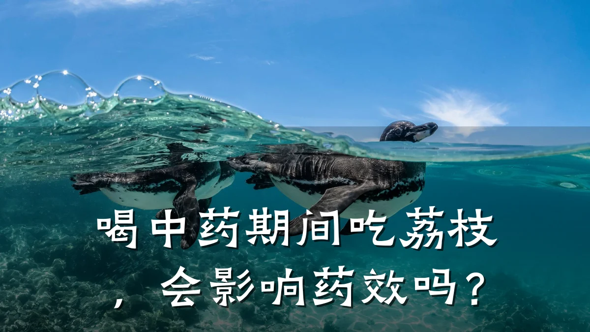 喝中药期间吃荔枝,会影响药效吗?